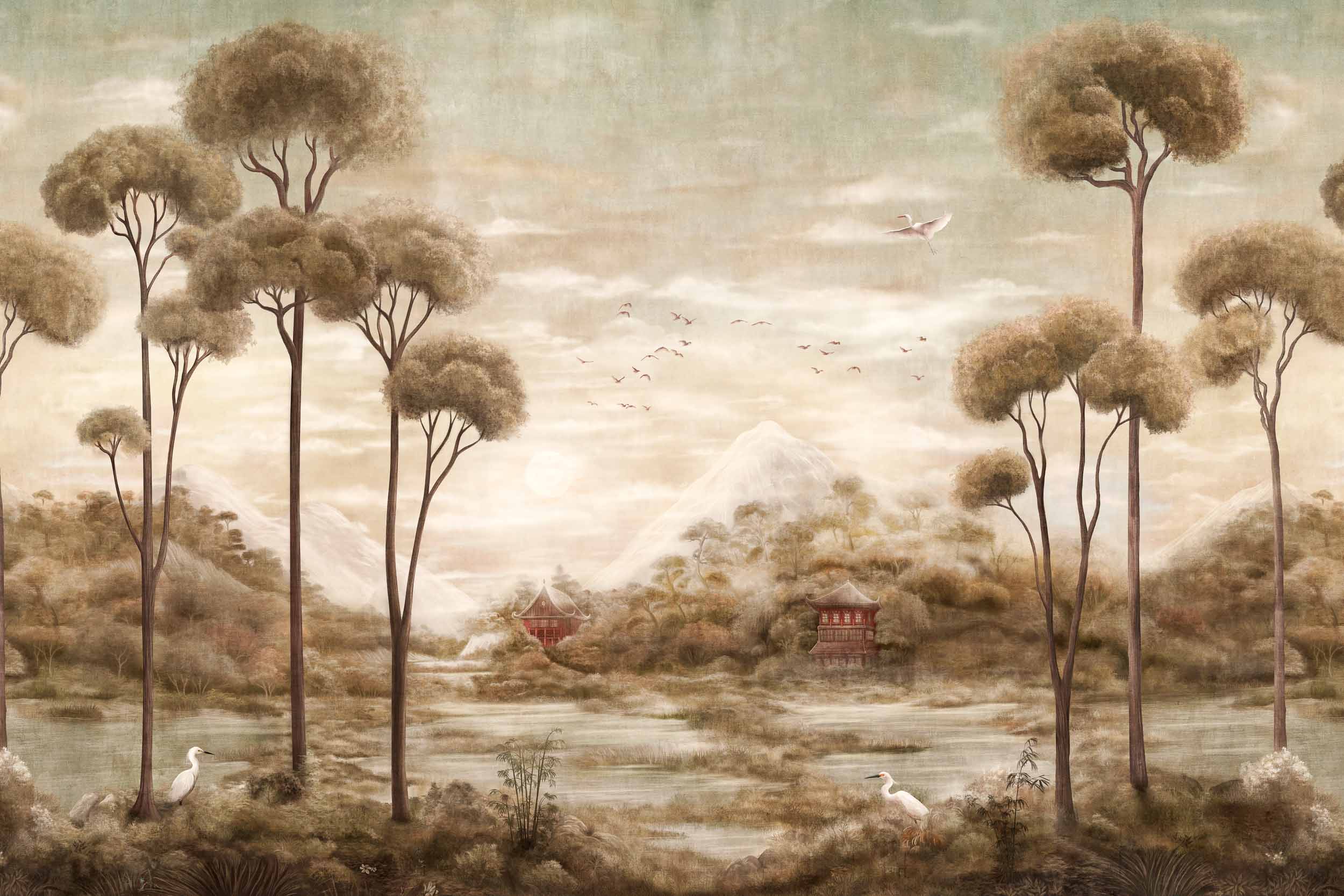 Xi Hu Lake, Amber, Coordonne
